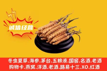 新乡获嘉县回收冬虫夏草